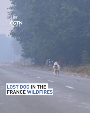 Image post by @cgtneurope on Instagram