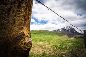 Image post by @skicrestedbutte on Instagram