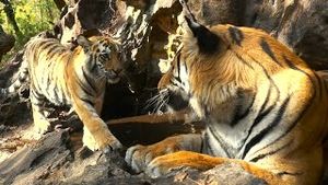 Video post by @bbcearth on YouTube