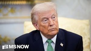 Video post by @msnbc on YouTube