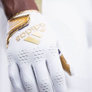 Image post by @uw_football on Instagram