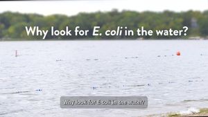Video post by @mnhealth on Facebook