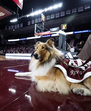 Image post by @tamuyell on Instagram