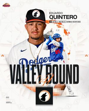 Image post by @mlbazfallleague on Instagram
