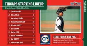 Image post by @TinCaps on Twitter