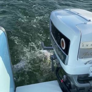 Video post by @retroboatrentalsatx on Facebook
