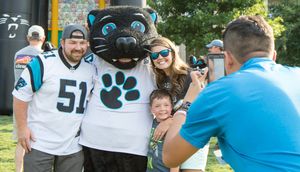 Image post by @SirPurr on Twitter