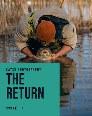 Image post by @brothercarp on Instagram