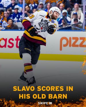 Image post by @chicagowolves on Instagram