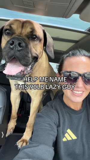 Video post by @chelsearhane on TikTok