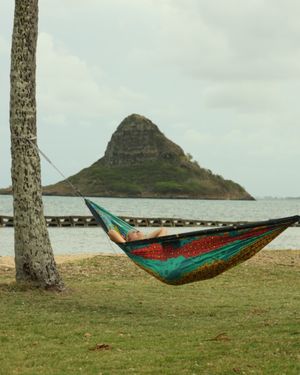Image post by @enohammocks on Instagram