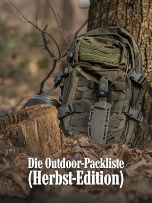 Image post by @odenwolf.shop on Instagram