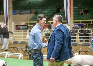 Image post by @nationalwestern on Instagram