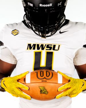 Image post by @mwsugriffons on Instagram