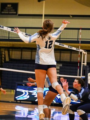 Image post by @gordonvolleyball on Instagram