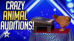 Video post by @shortsgottalent on YouTube