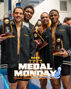 Image post by @vol_swimdive on Instagram