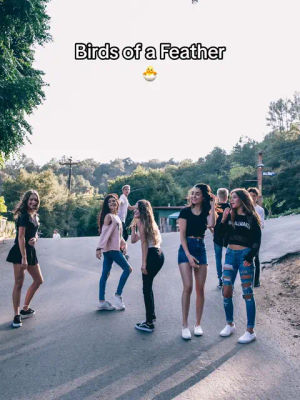 Image post by @brat on TikTok