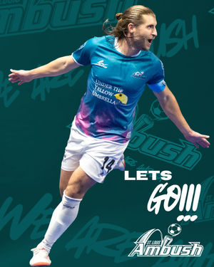 Image post by @stlouisambush on Instagram
