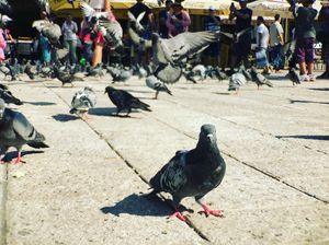 Image post by @santibukovsky on Instagram