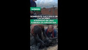 Video post by @laopinionla on YouTube