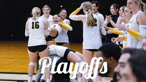 Image post by @witsaac on Instagram