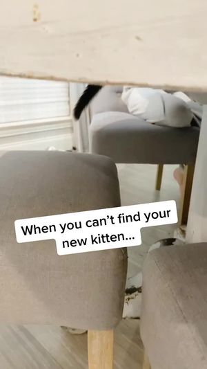 Video post by @livinglocurto on TikTok