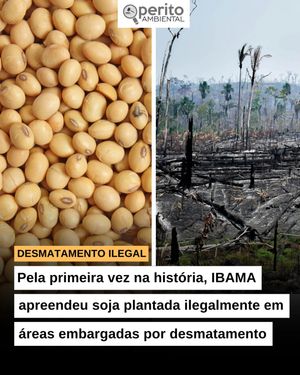 Image post by @operitoambiental on Instagram