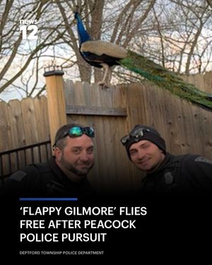 Image post by @news12nj on Instagram