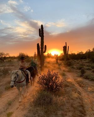 Image post by @scottsdaleariz on Instagram