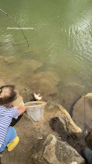 Video post by @addie_mccracken123 on TikTok