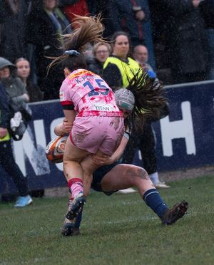 Image post by @charliessheridan on Instagram