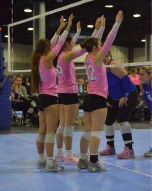 Image post by @PLAvolleyball on Facebook