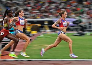 Image post by @jeffcohenphoto on Instagram