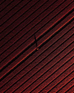 Image post by @droneartgallery on Instagram
