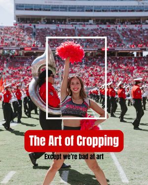 Video post by @ncstate_wolfpack on TikTok