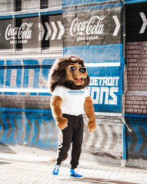 Image post by @roarynfl on Instagram