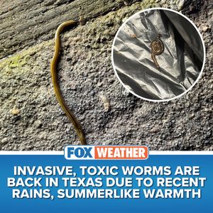 Image post by @foxweather on Instagram