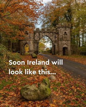 Image post by @discoverireland.ie on Instagram