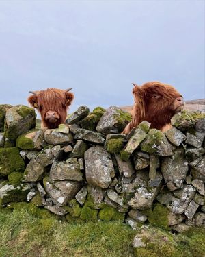 Image post by @visitscotland on Instagram