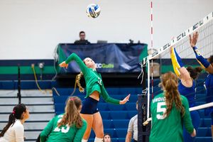 Image post by @endicottwvb on Instagram