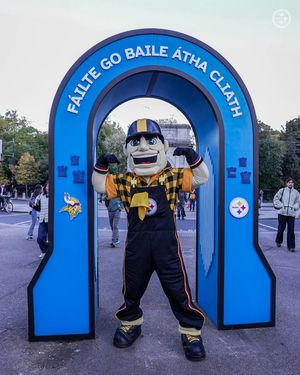 Image post by @steelersireland on Instagram