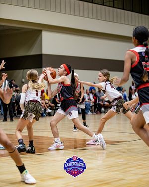 Image post by @aaubasketball on Instagram