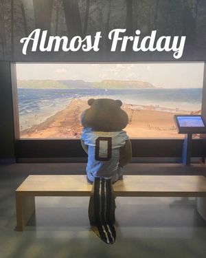 Image post by @goldythegopher on Instagram