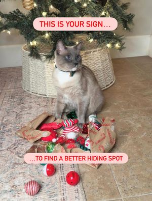 Image post by @petsmart on Instagram