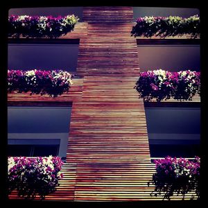 Image post by @kirstenalana on Instagram