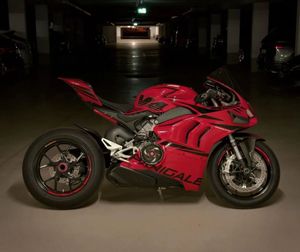 Image post by @panigalers on Instagram