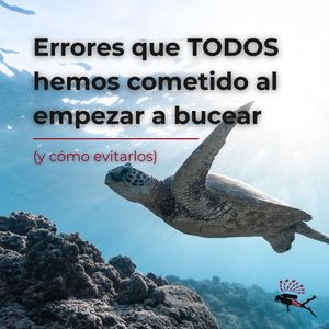 Image post by @lionfishscuba on Instagram