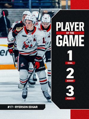 Image post by @ohlicedogs on Instagram
