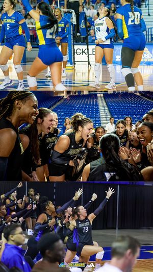 Image post by @Delaware_VB on Twitter